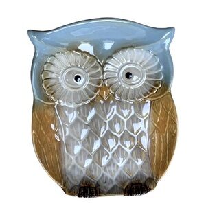 Owl Glazed Ceramic Muti Use Dish Tray Whimsical Blue Decorative Functional Art